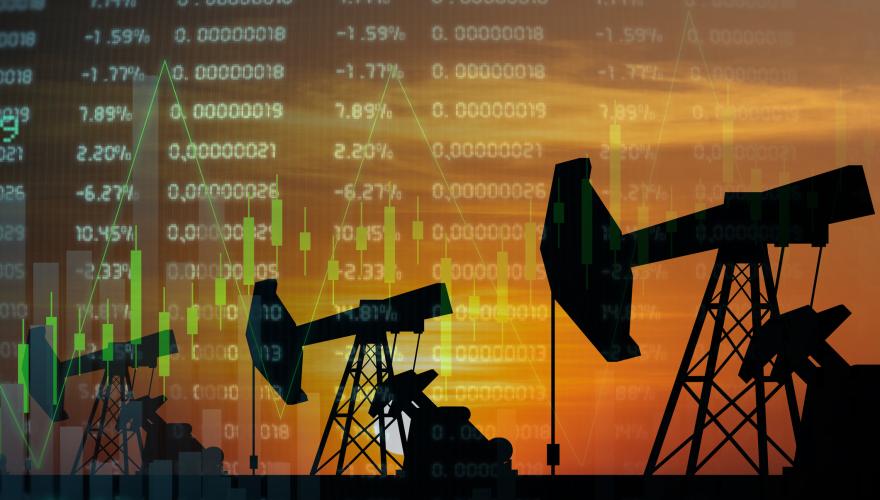 Oil