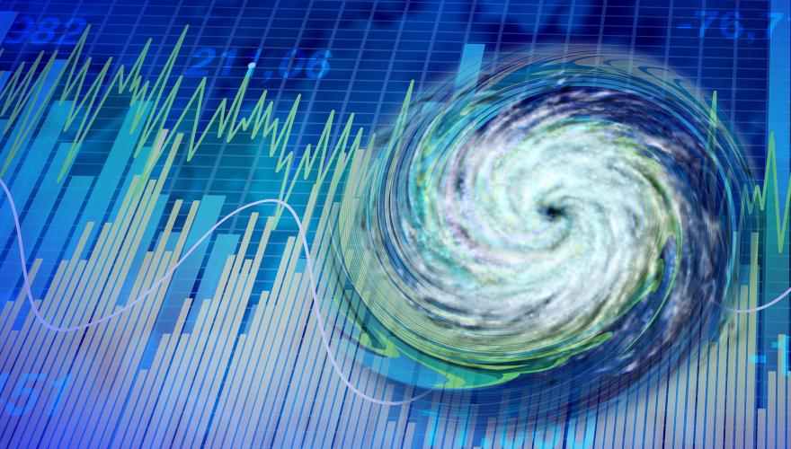 A volatile summer for financial markets