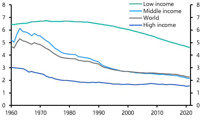 The consequences of falling fertility rates

