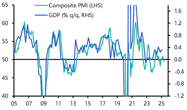 Euro-zone Flash PMIs (May 2025)
