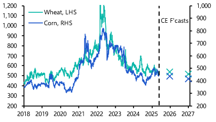 Grain prices won’t plummet if war in Ukraine ends
