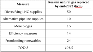 EU’s pivot away from Russian gas will come at a price
